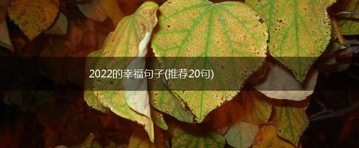2022的幸福句子(推荐20句),第1张