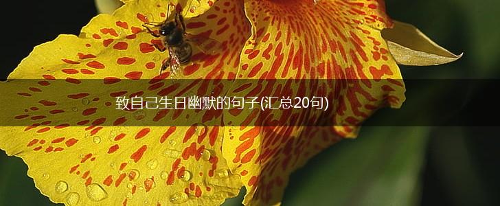 致自己生日幽默的句子(汇总20句),第1张