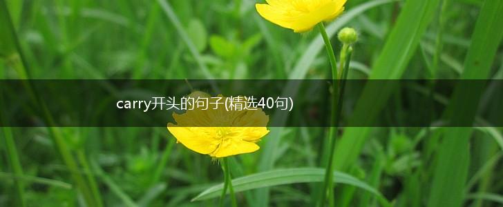 carry开头的句子(精选40句),第1张