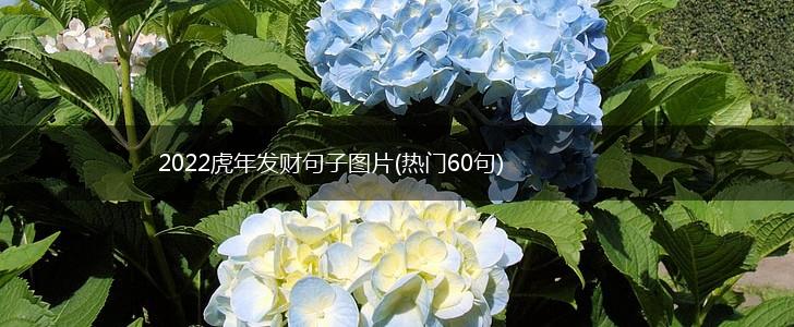 2022虎年发财句子图片(热门60句),第1张
