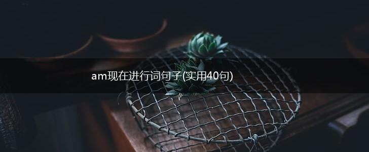 am现在进行词句子(实用40句),第1张