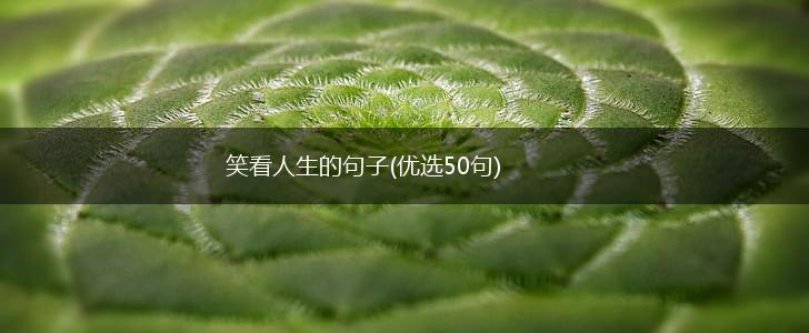 笑看人生的句子(优选50句),第1张