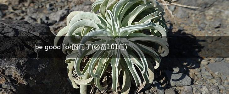 be good for的句子(必备101句),第1张