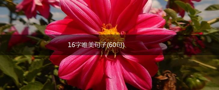 16字唯美句子(60句),第1张