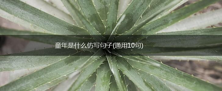 童年是什么仿写句子(通用10句),第1张