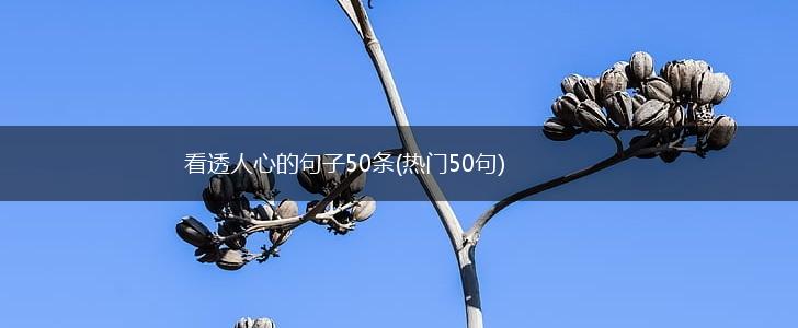 看透人心的句子50条(热门50句),第1张