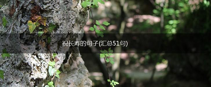 祝长寿的句子(汇总51句),第1张