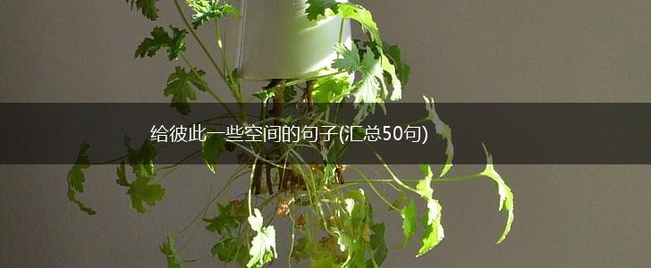 给彼此一些空间的句子(汇总50句),第1张