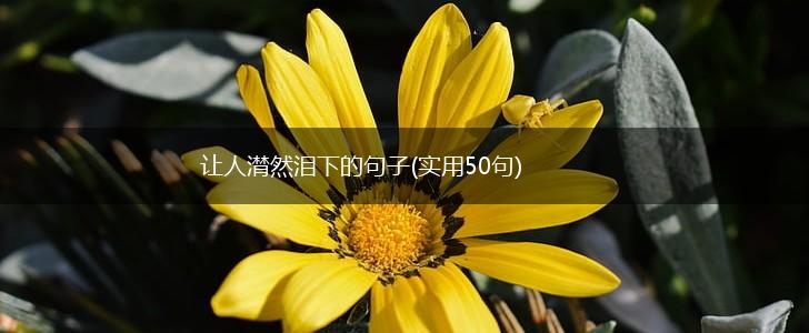 让人潸然泪下的句子(实用50句),第1张