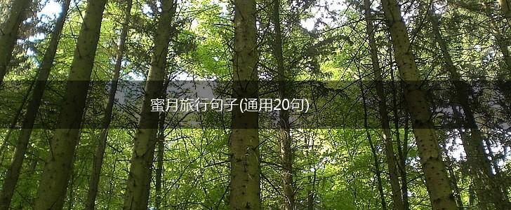 蜜月旅行句子(通用20句),第1张