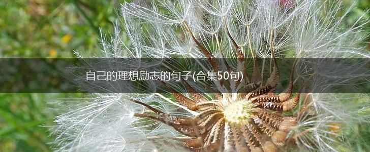 自己的理想励志的句子(合集50句),第1张