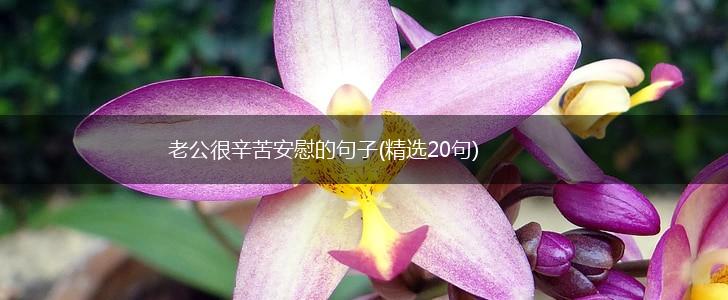 老公很辛苦安慰的句子(精选20句),第1张