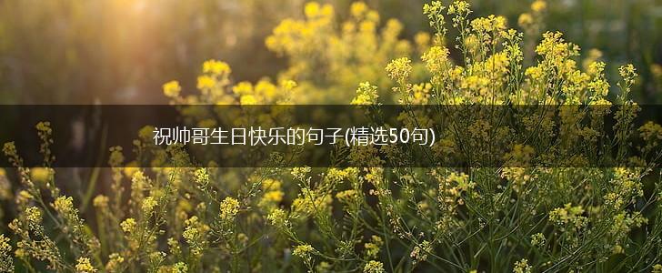 祝帅哥生日快乐的句子(精选50句),第1张