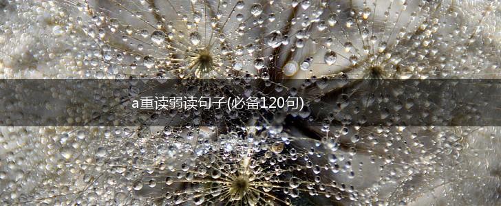 a重读弱读句子(必备120句),第1张
