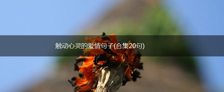 触动心灵的爱情句子(合集20句),第1张