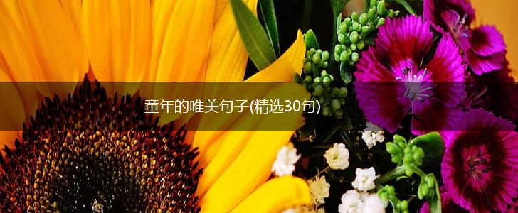 童年的唯美句子(精选30句),第1张