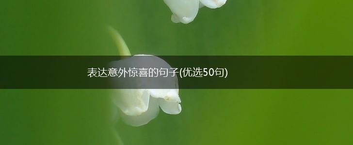 表达意外惊喜的句子(优选50句),第1张