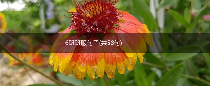 6班班服句子(共58句),第1张
