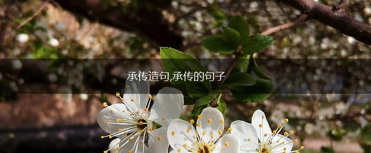 承传造句,承传的句子,第1张