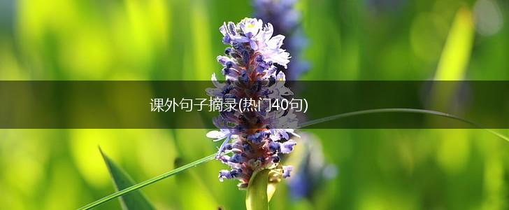 课外句子摘录(热门40句),第1张