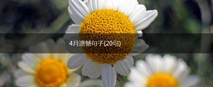 4月遗憾句子(20句),第1张