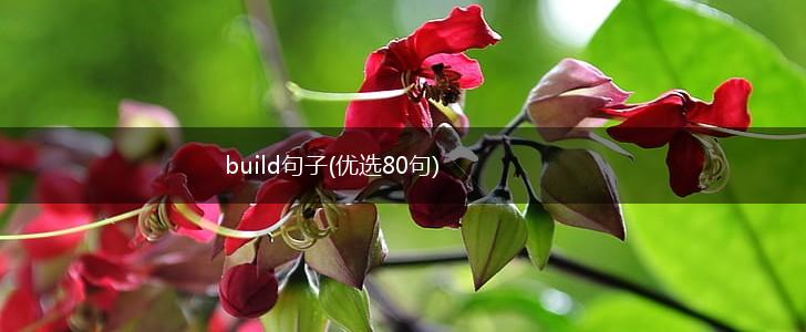 build句子(优选80句),第1张