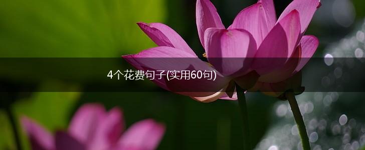 4个花费句子(实用60句),第1张