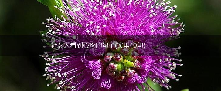 让女人看到心疼的句子(实用40句),第1张