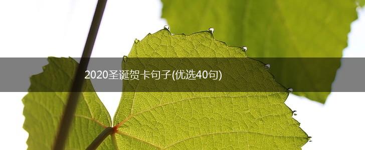 2020圣诞贺卡句子(优选40句),第1张