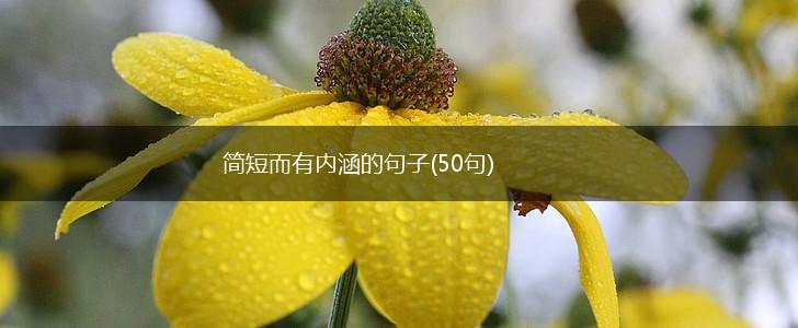 简短而有内涵的句子(50句),第1张