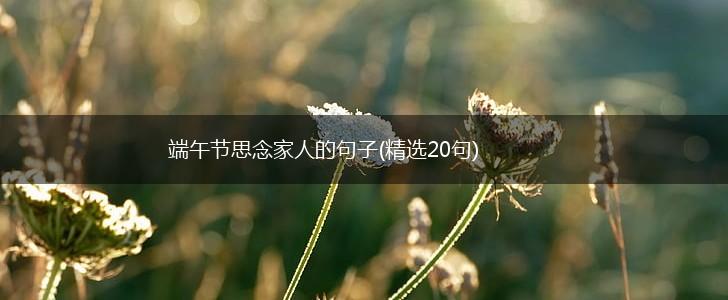 端午节思念家人的句子(精选20句),第1张