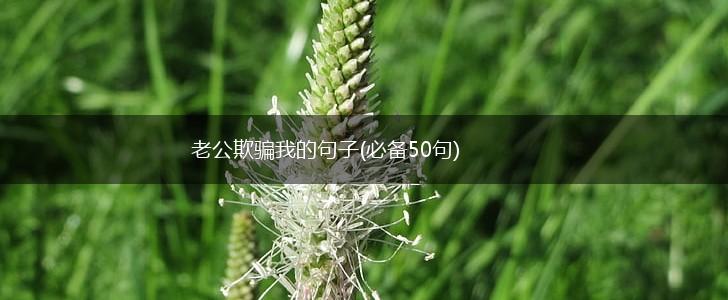 老公欺骗我的句子(必备50句),第1张