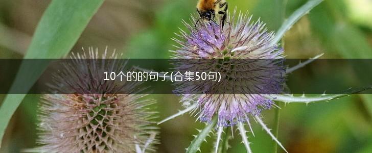 10个的的句子(合集50句),第1张