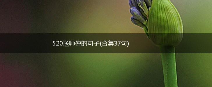 520送师傅的句子(合集37句),第1张