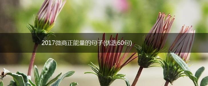 2017微商正能量的句子(优选60句),第1张