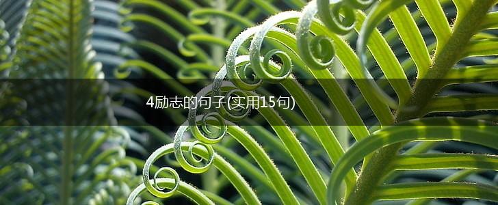 4励志的句子(实用15句),第1张
