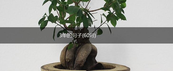 3单的句子(60句),第1张