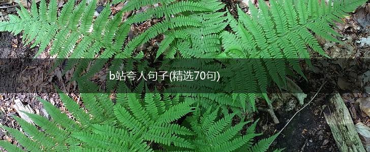 b站夸人句子(精选70句),第1张