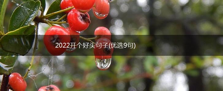 2022开个好头句子(优选9句),第1张