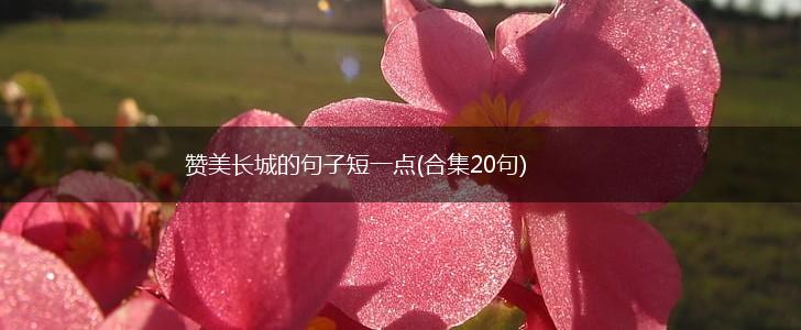 赞美长城的句子短一点(合集20句),第1张
