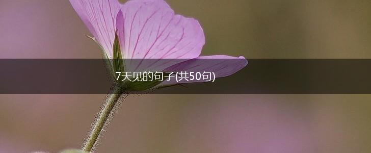 7天见的句子(共50句),第1张