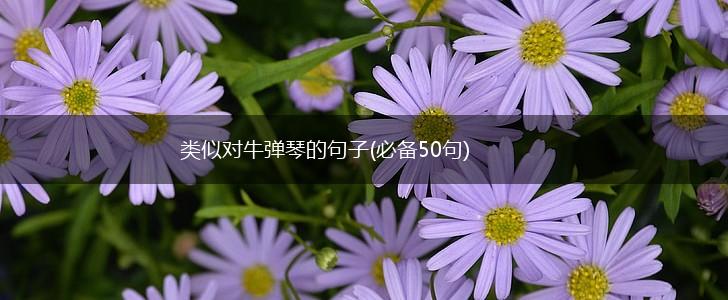 类似对牛弹琴的句子(必备50句),第1张