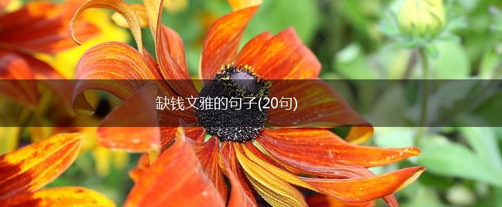 缺钱文雅的句子(20句),第1张