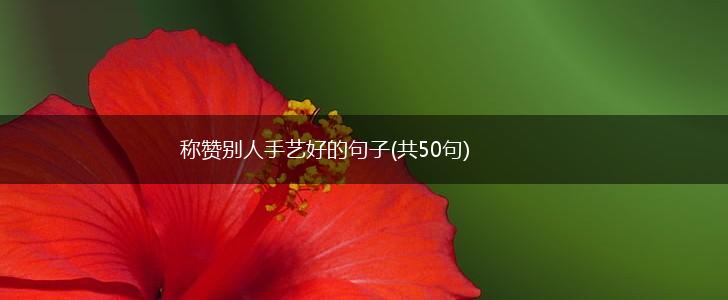 称赞别人手艺好的句子(共50句),第1张
