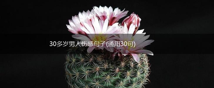30多岁男人伤感句子(通用30句),第1张