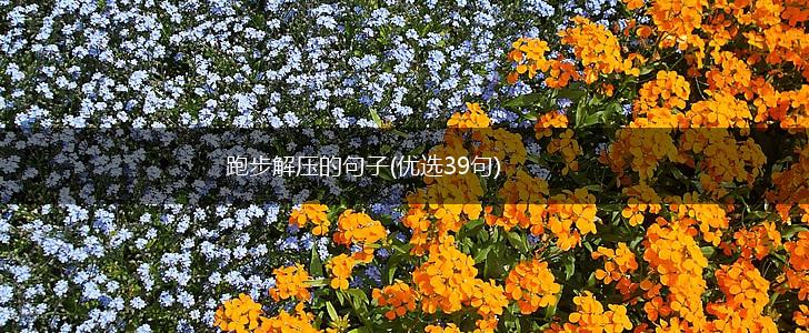 跑步解压的句子(优选39句),第1张