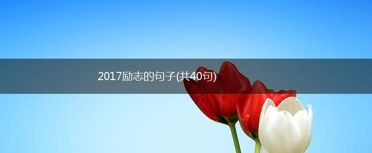 2017励志的句子(共40句),第1张