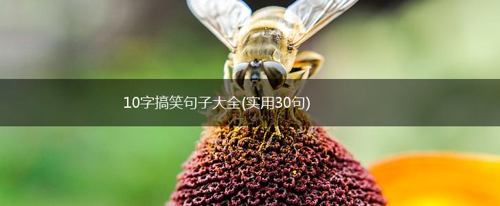 10字搞笑句子大全(实用30句),第1张