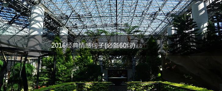 2016经典情感句子(必备60句),第1张