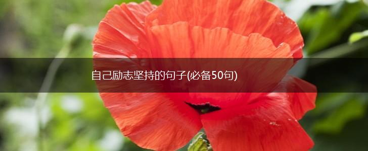 自己励志坚持的句子(必备50句),第1张